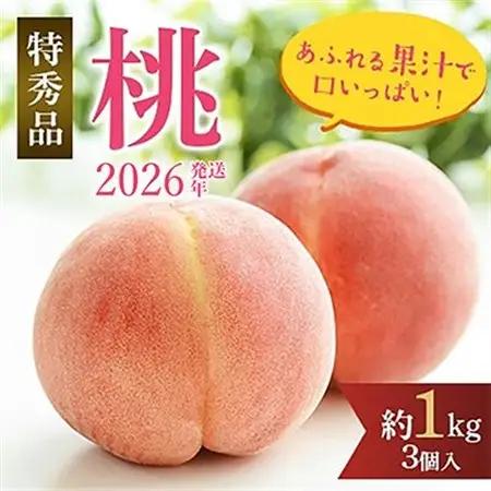 先行受付!　桃(特秀品)食べきりやすい3個入り【配送不可地域：離島】【1525342】