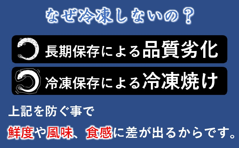 【3ヶ月定期便】（1月?3月お届け）2027年発送 西都市うなぎ名店巡り 入船 本部うなぎ屋 藤うなぎ 国産 蒲焼 かば焼き 鰻 ウナギ＜1-13a＞