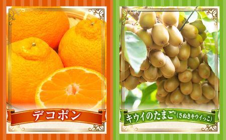 とれたて果物 4回定期便C |果物 フルーツ 果物定期便 フルーツ定期便 定期便 いちご キウイ デコポン濃厚 旬の果物 定期 人気 おすすめ 贈答 贈り物 青果物 糖度 香川県 |_mk165-t0