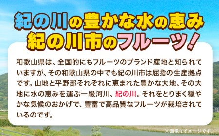 【先行予約】平核無柿 約5kg (16~20玉) こだまファーム《9月中旬-11月中旬頃出荷》柿柿柿柿柿