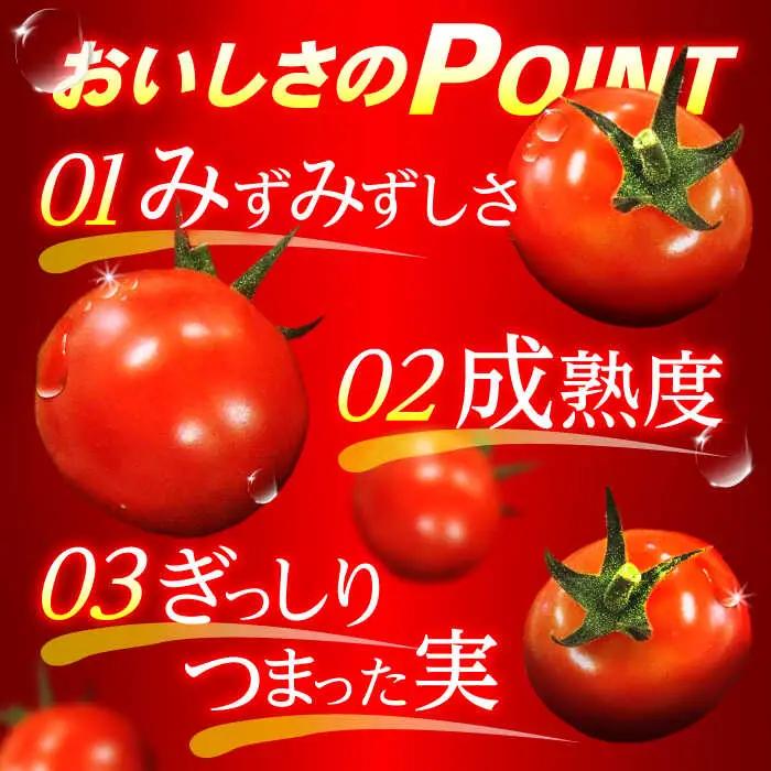 【先行予約※2026年11月より発送】愛果菜ミニトマト9P×1セット / トマト とまと ミニトマト プチトマト 愛果菜 / 諫早市 / 愛菜ファーム株式会社 [AHAK001]