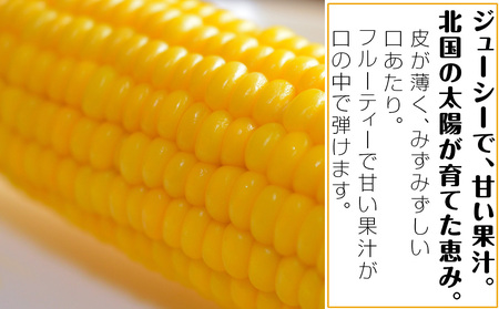 【先行予約】北海道 千歳産 とうもろこし 1本430ｇ以上 10本 恵味シリーズの中からおまかせで1種類  ＜ふぁーむあんざわ＞