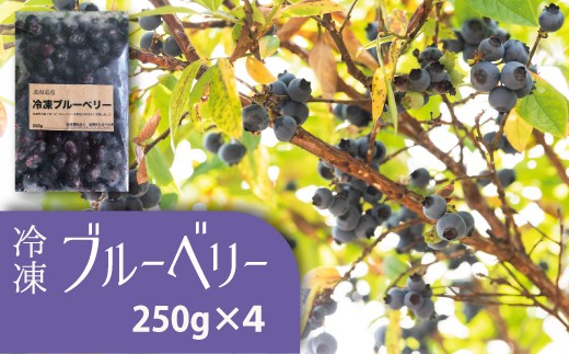 
                  【思いやり型返礼品　大事に育てて大事に収穫しました】当麻かたるべの森　冷凍ブルーベリー 1kg
                