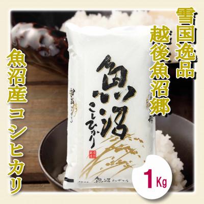 ふるさと納税 魚沼市 【雪国逸品 精米1kg】越後魚沼郷 魚沼産コシヒカリ