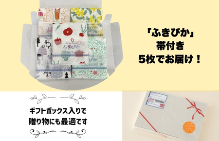 抗菌防臭！ふきぴか キッチンタオル 5枚セット 