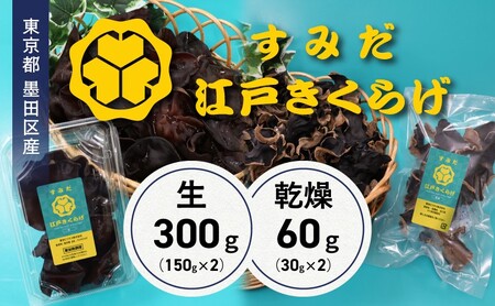 キクラゲ詰合せ 生キクラゲ 乾燥キクラゲ 純国産 東京都産 キクラゲ詰合せ【生300g(150g×2) 乾燥60g(30g×2)】