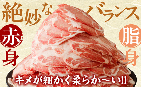 【令和6年12月配送】宮崎県産豚肩ローススライス計2.4kg 肉 豚 豚肉 おかず 国産 _T009-008-612【人気  肉 ギフト 肉 食品 お肉 しゃぶしゃぶ  肉 贈り物  肉  お土産  