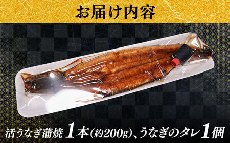 うなぎの美味しさはタレで決まる！自慢の味・国産活うなぎ蒲焼（1本入） | うなぎ タレ 蒲焼 国産 美味しい 島根県雲南市/有限会社石田魚店 [AICQ002]