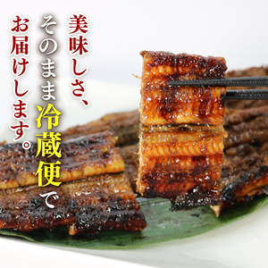 鰻 蒲焼 大姿焼き 2尾 140g×2 【全3回定期便】鰻