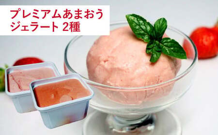 【予約受付・3回定期便】あまおう贅沢セット あまおう いちご 苺 イチゴ フルーツ 果物 くだもの ジェラート【2026年3月上旬～7月下旬発送予定】