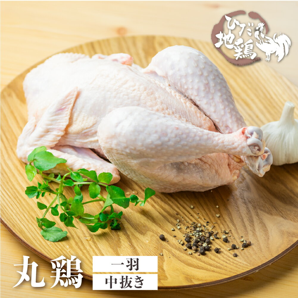 【ふるさと納税】＜8月から寄附額改定＞訳あり 鶏肉 丸鶏 中抜き 1羽 飛騨地鶏 地鶏 とり肉 水炊き ローストチキン タッカンマリ サムゲタン 参鶏湯 クリスマス パーティー アウトドア BBQ キャンプ [Q2616]10000円 1万円