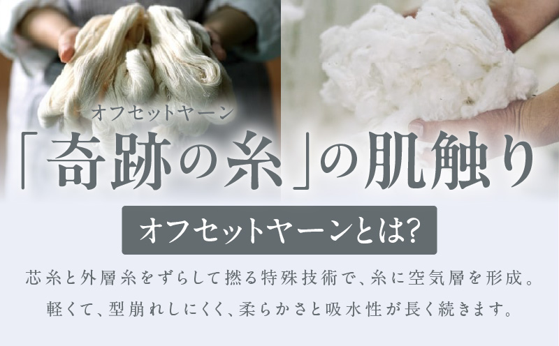 SUTEKI フェイスタオル 3枚（ホワイト）【泉州タオル 国産 吸水 普段使い 無地 シンプル 日用品 家族 ファミリー】 G2725