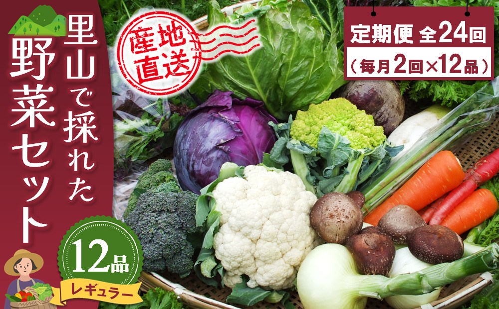 
年間定期便24回 里山で採れた野菜セットレギュラー 12品 【有機野菜 おまかせ野菜セット イタリア野菜 西洋野菜 定期便】(H078140)
