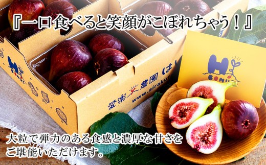 ひとくち頬張れば笑顔がこぼれる 大粒で弾力のある食感と濃厚な甘さ。