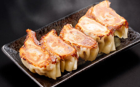 SPF豚「芳寿豚」餃子 計72個（18個×4袋）/ 餃子 ぎょうざ ギョウザ ギョーザ 焼餃子 水餃子 冷凍 惣菜 / 大村市 / かとりストアー[ACAN120]