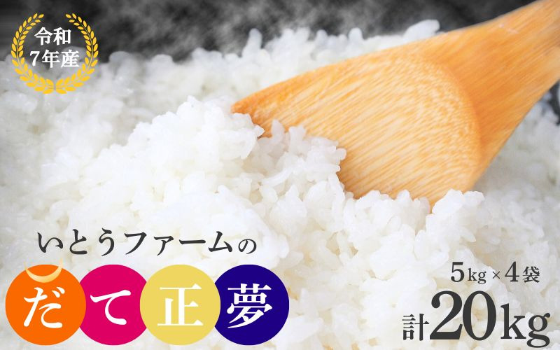 【宮城米の夢をかなえた極良食味品種】いとうファームの 令和7年産 「だて正夢」 20kg （5kg×4袋） / 米 お米 精米 白米 ご飯 産地直送 【itofarm038】