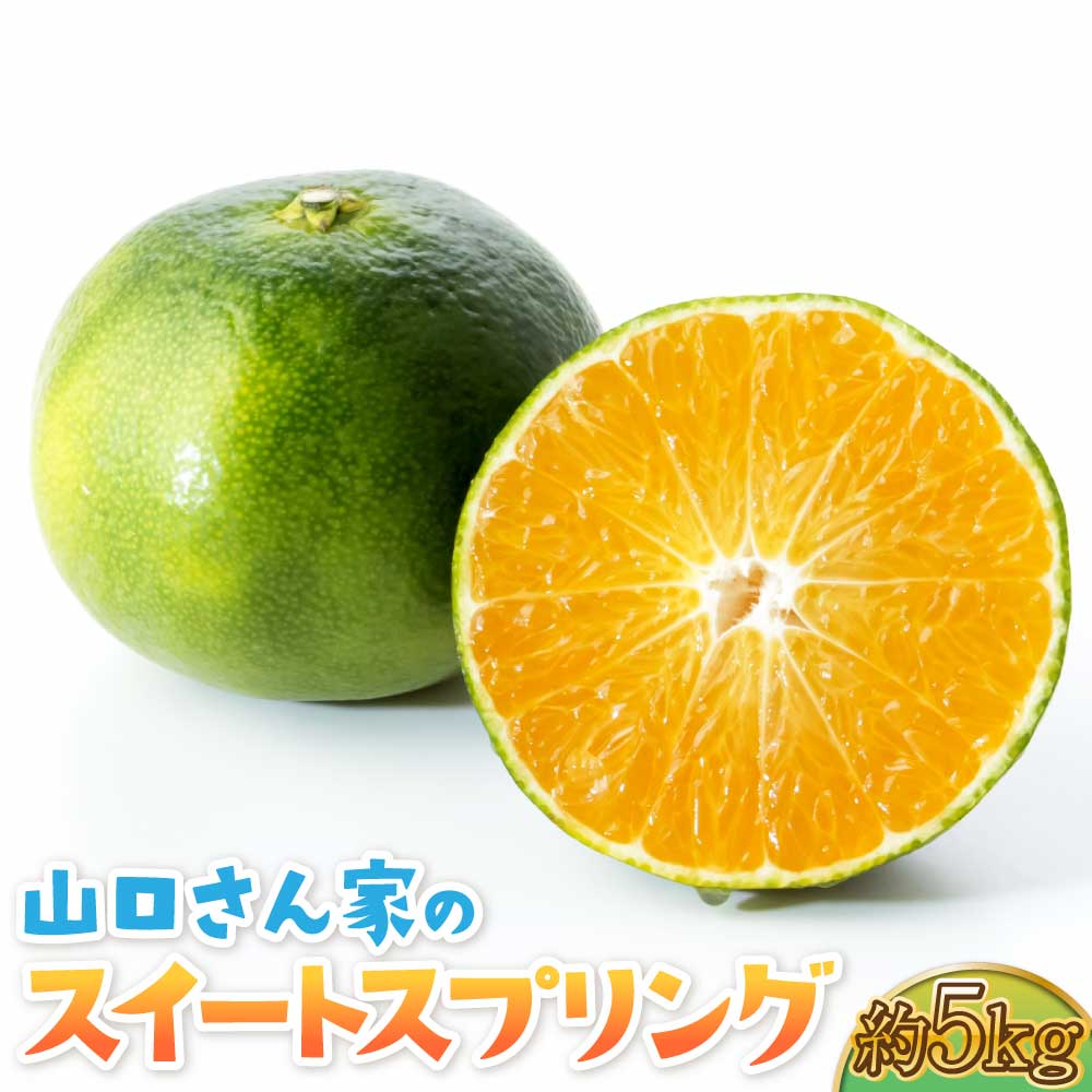 【ふるさと納税】【先行予約】山口さん家の スイートスプリング 約5kg S・M・L混合サイズ 【2025年10月上旬 ～2026年1月下旬発送予定】みかん ミカン 蜜柑 5kg くだもの フルーツ 果物 宇城市産 熊本県産 九州産 国産 送料無料 山口果樹園
