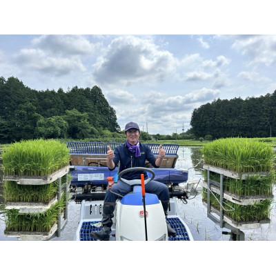 ふるさと納税 日光市 【JAS有機】こしひかり白米5kg　◆お米◆精米◆オーガニック◆有機栽培◆栽培期間中農薬不使用 |  | 02