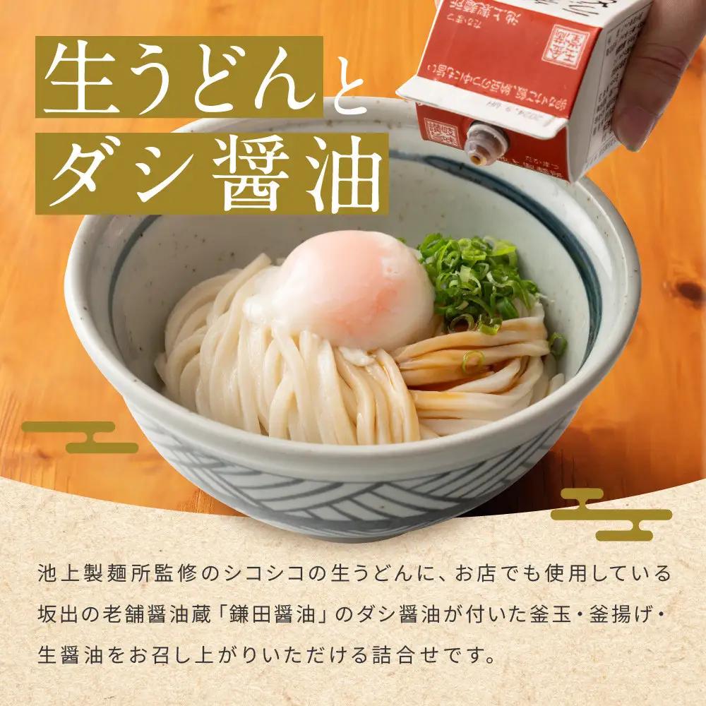 讃岐生うどん24食入（1袋3食入×8袋）＊鎌田醤油だし醤油付＊池上製麺所監修！｜うどん