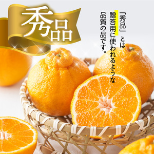 【2027年先行予約】デコポン 秀品 18玉～24玉 和歌山県有田産_U6300