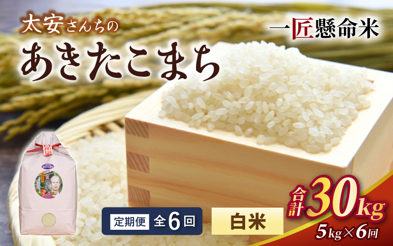 ＜定期便 全6回＞ 令和8年産米 真庭市産 太安さんちのあきたこまち 白米 5kg×6回 / お米 国産 岡山県 米 人気 ブランド 2026年産 【tkns-tkb040】 ５kg×６回
