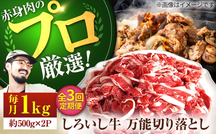 
                  【牧場直送】【3回定期便】佐賀県産 しろいし牛 万能 切落し 1kg（500g×2パック） 【佐賀セントラル牧場】佐賀県産 肉 お肉 牛肉 切り落とし 国産 和牛 大容量 冷凍 九州 佐賀県 白石町  白石 [IAH133]
                