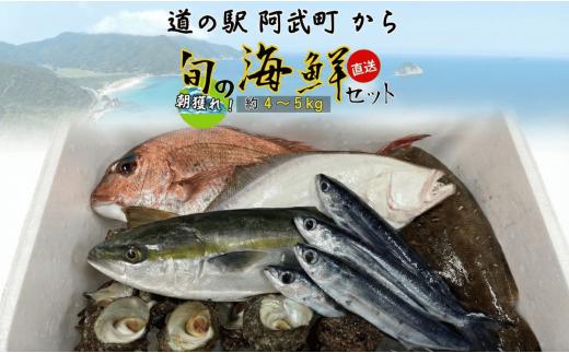 山口県 阿武町 道の駅 厳選 ！ 当日水揚げ 鮮魚 セット 約4～5kg 新鮮 豪華 旬 獲れたて 魚 さかな サザエ 海鮮