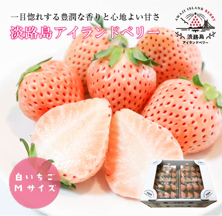 【ふるさと納税】淡路島アイランドベリー 白苺淡雪 Mサイズ 4パック(80粒)入【2026年2月～4月発送予約受付・お届け日指定不可】