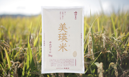 美瑛選果　令和５年産　美瑛米ゆめぴりか10kg[024-23]