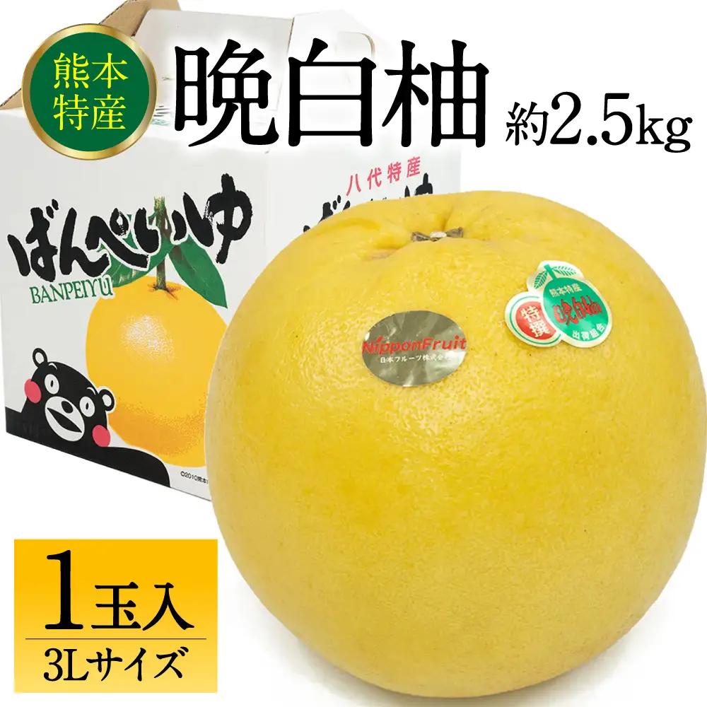 【先行予約】 晩白柚 ばんぺいゆ 3Lサイズ 1玉 約2.5kg 晩白柚 柑橘 【2026年12月上旬より順次発送】