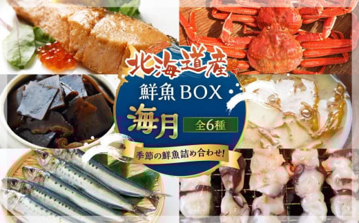 鮮魚BOX 海月(6種）