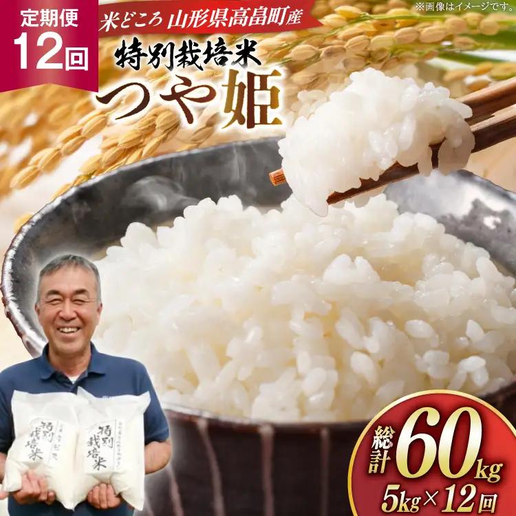 米 定期便 12回 令和8年産 特別栽培米 つや姫 5kg 12回 計60kg