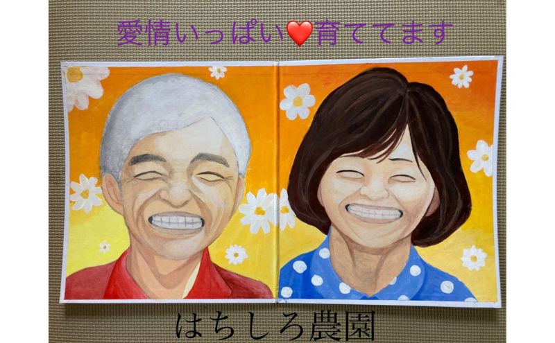 はちしろ農園　訳アリ枝豆 約3kg