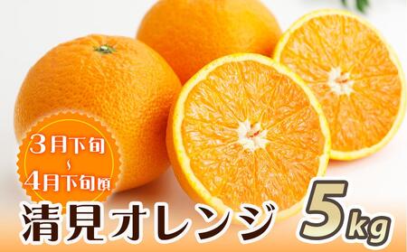【魚鶴商店厳選】和歌山人気の柑橘定期便（有田みかん・不知火・清見オレンジ）【定期便全3回】