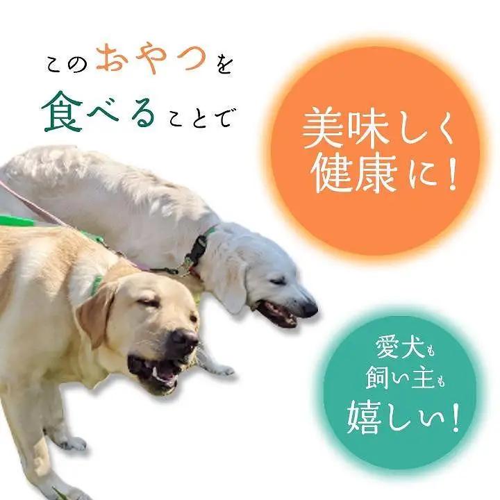 無添加 ドッグフード 鹿骨ジャーキー 200g｜ペット 犬用 おやつ ジャーキー