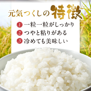金のめし丸元気つくし 10kg（5kg×2袋） 令和7年産_ 白米 お米 〔Gr044〕