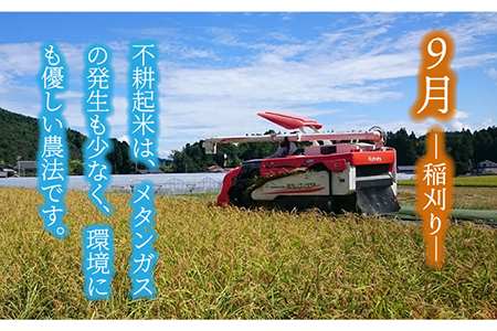 【令和7年産】玄米「廿ノ極」（4.5kg）多治見市/廿原ええのお お米 米 国産 多治見市産 プレゼント 贈答 贈り物 送料無料  [TCI001]