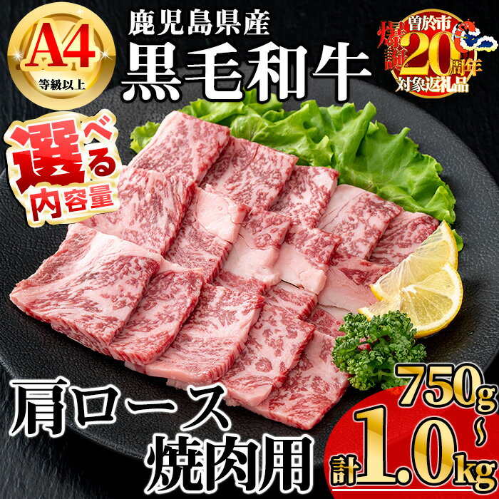 【ふるさと納税】【数量限定】＜内容量が選べる！＞鹿児島県産黒毛和牛A4等級以上肩ロース焼肉用 (合計750g＋黒毛和牛こま切れ250g×1P・合計1.0kg＋黒毛和牛こま切れ250g×2P) 国産 鹿児島県産 牛 小分け 冷凍 肩ロース 焼肉【KNOT】