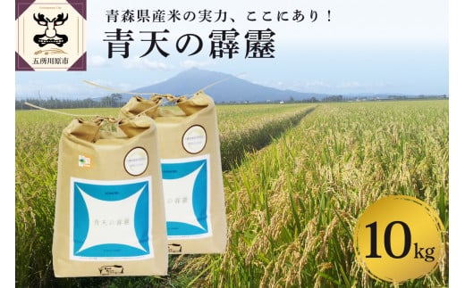 【令和7年産米】 米 青天の霹靂 10kg (5kg×2) 特別栽培米 青森県産 【KonRiceFarmの お米 精米 白米 晴天の霹靂 青森 五所川原 】