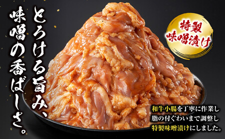 ＜訳アリ＞和牛トロホルモン　特製味噌漬け　1.5kg(300g×5）【順次発送】