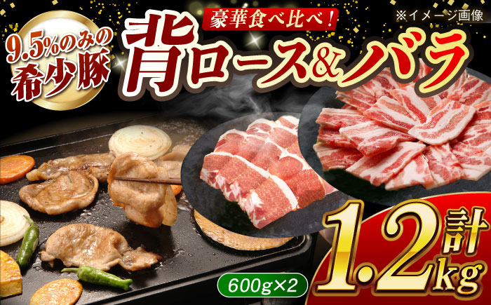 
                  【食べ比べ♪】大西海SPF豚 背ロース＆バラ（焼肉用）計約1.2kg（各600g）長崎県/長崎県農協直販 [42ZZAA104]
                