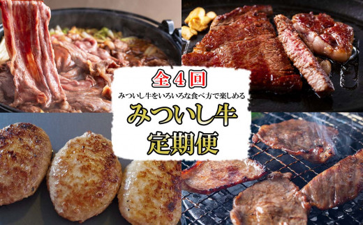 
＜定期便４回＞ 北海道産 黒毛和牛 みついし牛 定期便 和牛 A5 ホエー豚 ステーキ 焼肉 すき焼き ハンバーグ 三石牛
