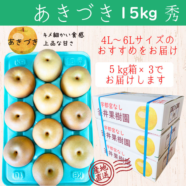 
あきづき 15kg 27～36玉 ｜ 栃木県産 宇都宮市 梨 なし あきづき フルーツ 果物　※離島への配送不可
