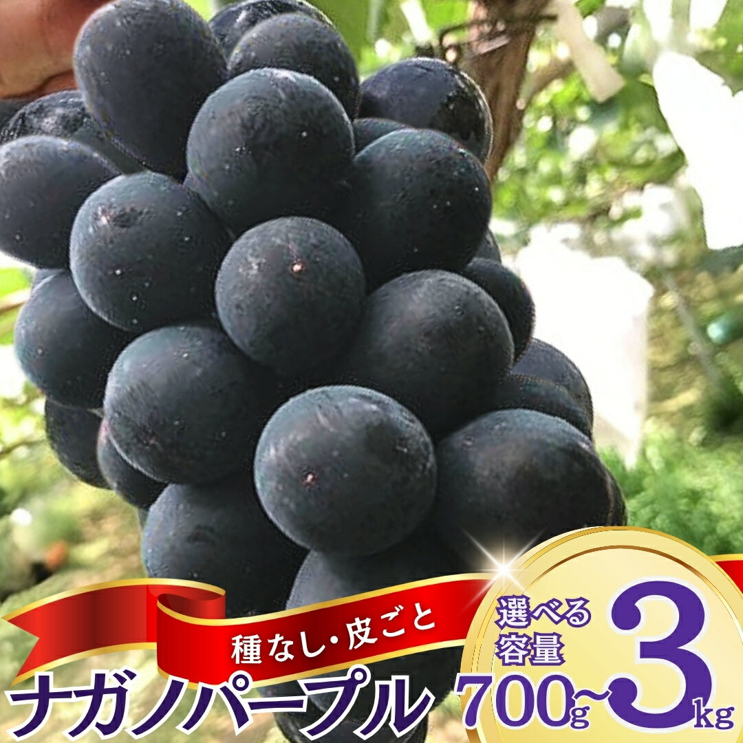 【ふるさと納税】【2025年先行予約】ぶどう ナガノパープル 約700g (1房)/約1kg(2房)/約1.5kg (3房)/約2kg(4~5房)/約3kg (5~6房)｜ 果物 フルーツ 黒ぶどう 葡萄 ブドウ 種無し 種なし 皮ごと 千曲市 長野県 信州