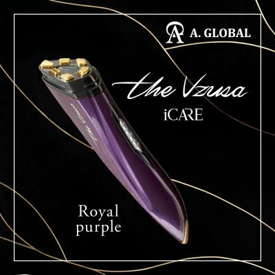 ふるさと納税 羽島市 the Vzusa i CARE (Royal purple)  美顔器