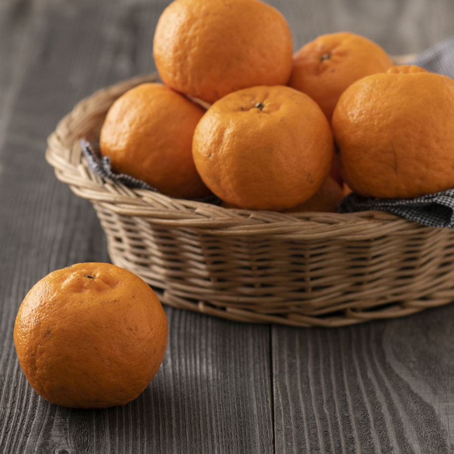 ＜無茶々園＞ポンカン10kg