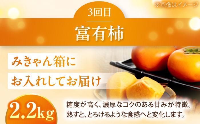 【先行予約】【3回定期便】梨・ぶどう・柿 旬のフルーツ定期便 ＜2026年8月中旬から発送＞【北海道・沖縄配送不可】 ／かき カキ ブドウ 葡萄 梨 なし ナシ 和梨 果物 フルーツ 国産 産地直送【
