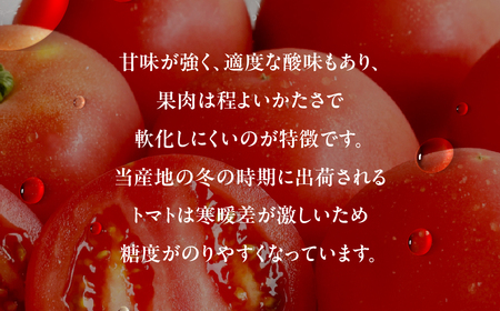 渥美半島産 丸玉トマト 4kg　|トマト とまと サラダ サンドイッチ 野菜 やさい 贈答 プレゼント 贈り物 甘い おいしい 冬 春 JA 農協 JA愛知みなみ