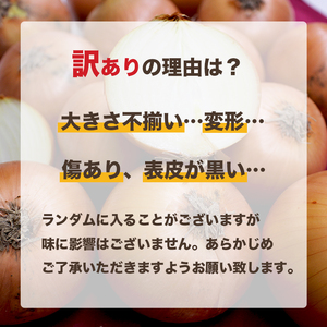 【訳あり】 もみじ 玉ねぎ 約10kg 松山市産【7月上旬頃～11月下旬頃発送予定】 | 玉ねぎ 松山市 【VEG056】