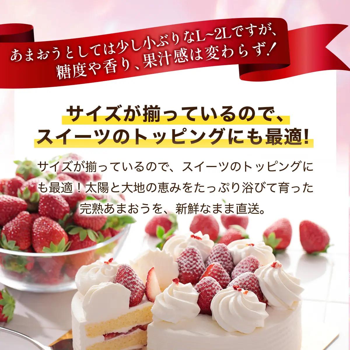 いちご 福岡県産 特別栽培 あまおう L~2Lサイズ（少し小ぶりサイズ）約1425g（約285g×5パック）【2～4月発送】| 農園直送 アフター保証 先行予約 福岡産 送料無料 ケーキ ギフト お祝